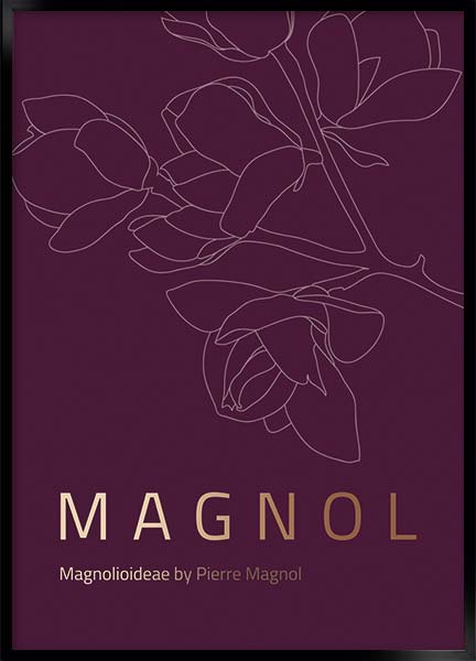 magnol