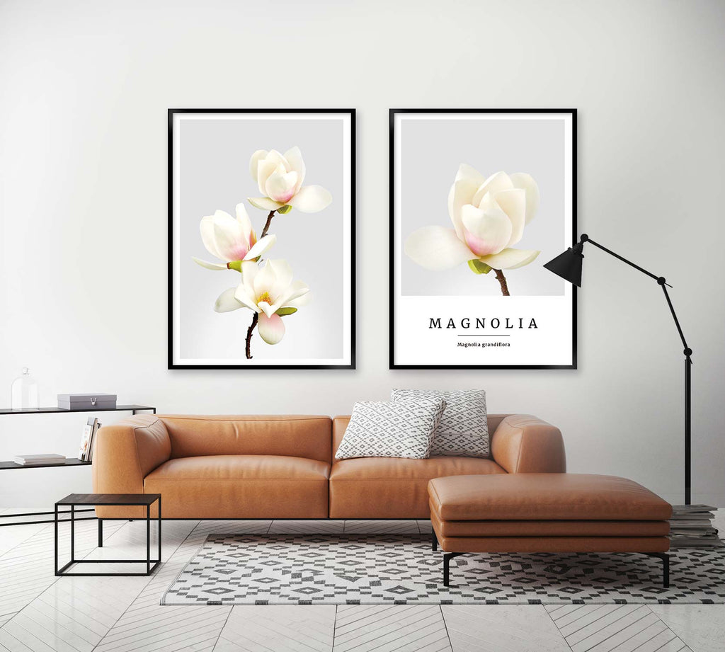 magnolia no1