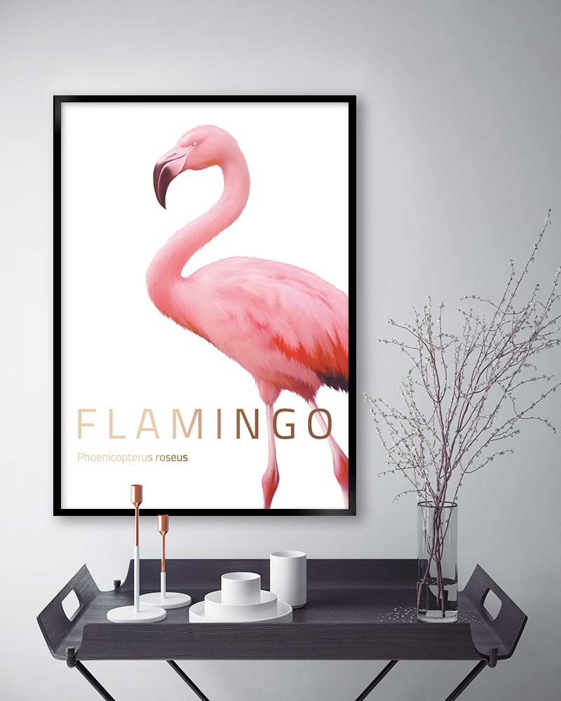 flamingo