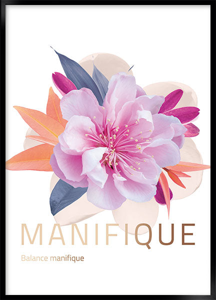 manifique