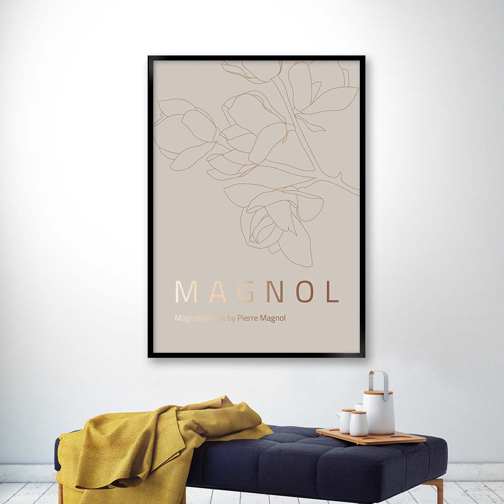 magnol