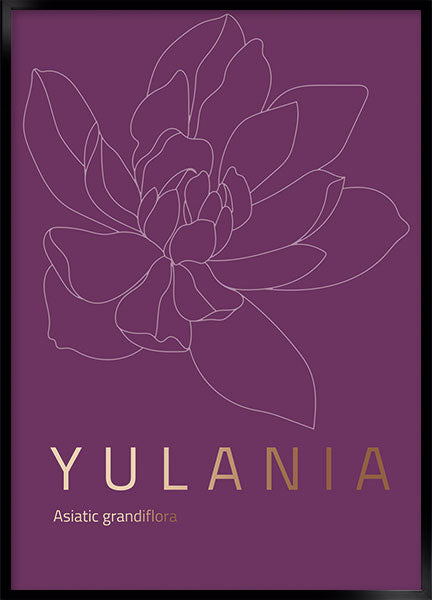 yulania