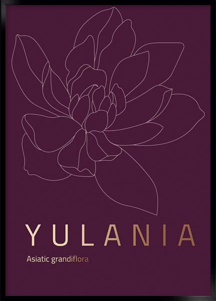 yulania