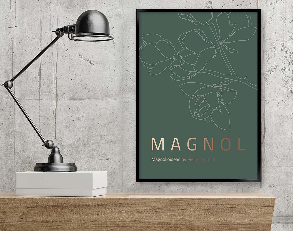 magnol