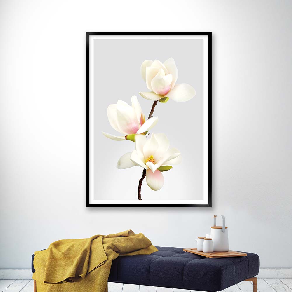 magnolia no1