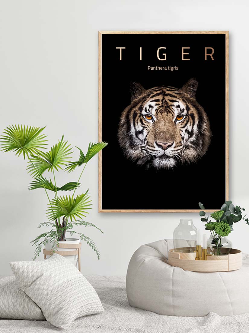 tiger