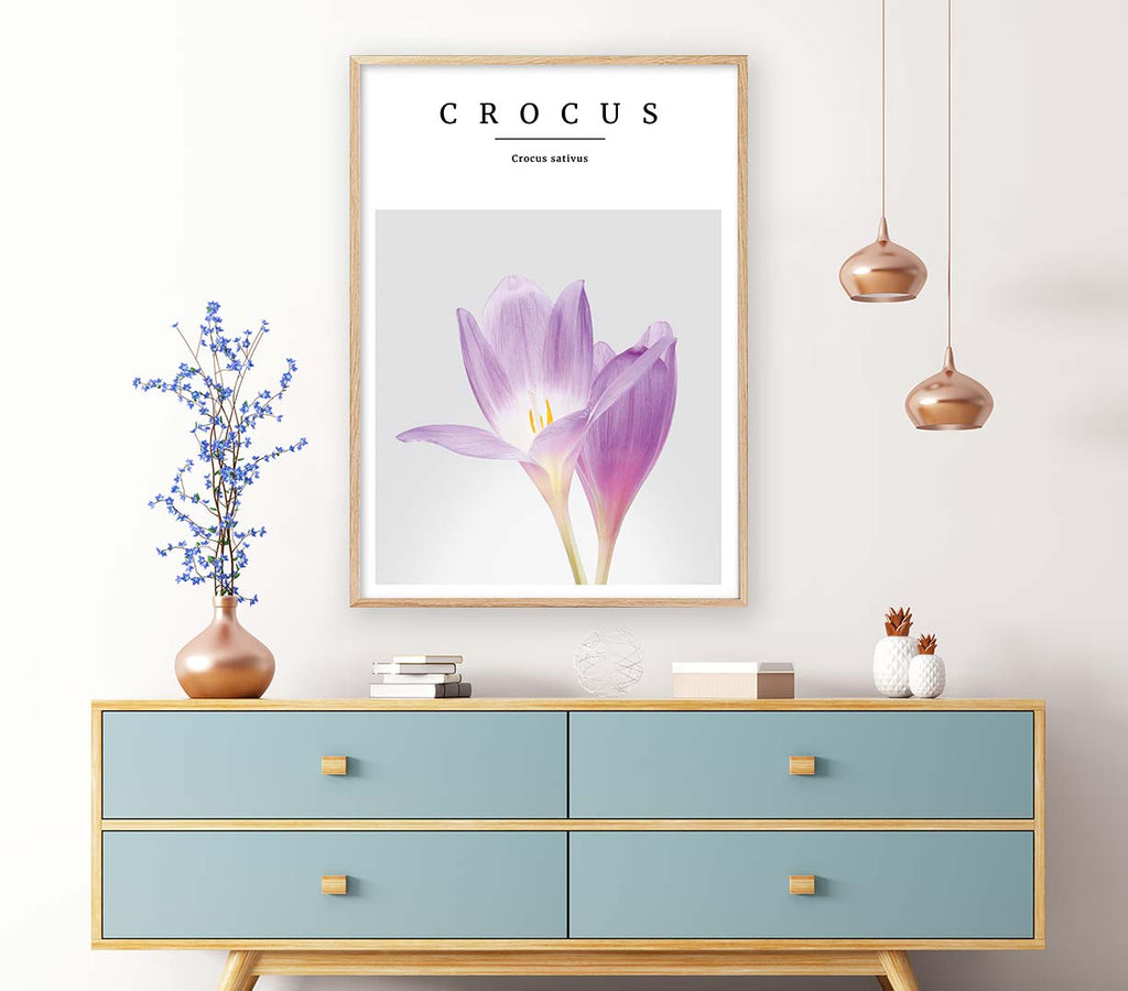 crocus no2