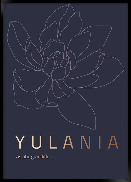 yulania