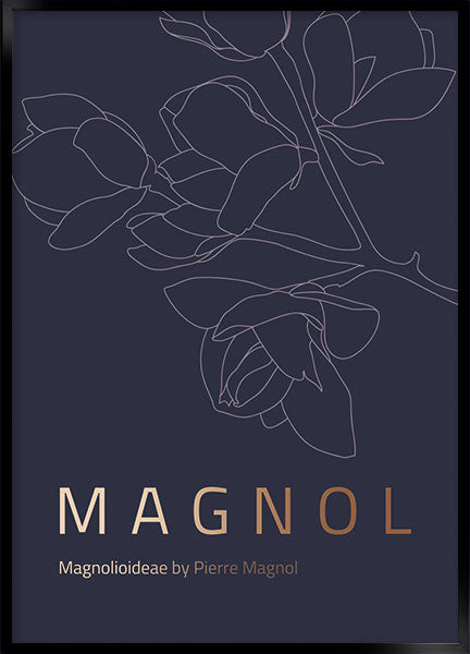 magnol
