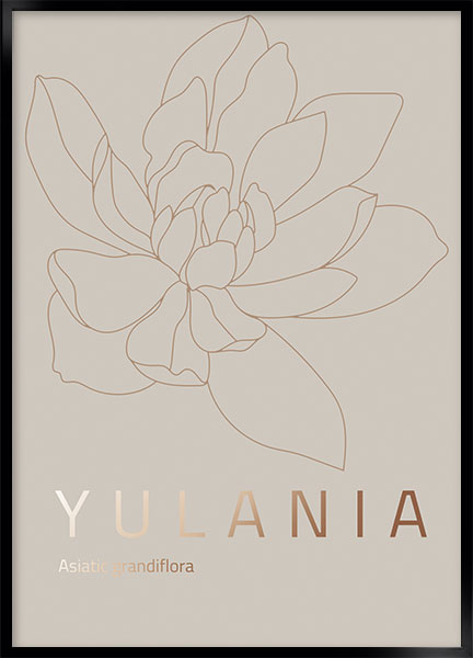 yulania