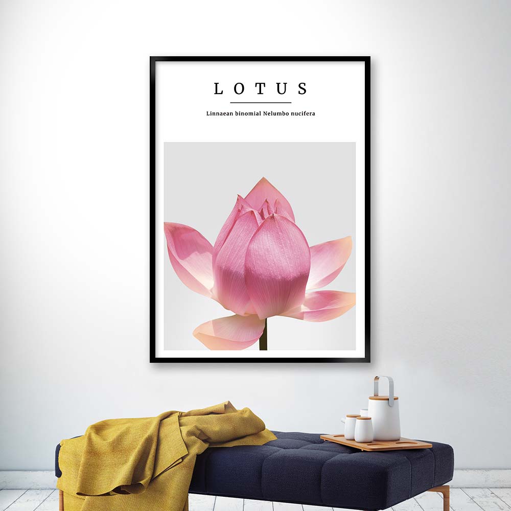 lotus no1