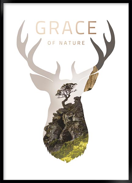 grace
