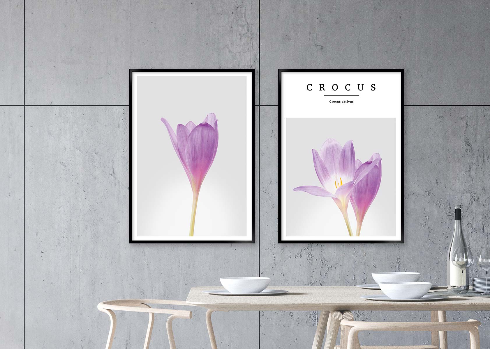crocus no1