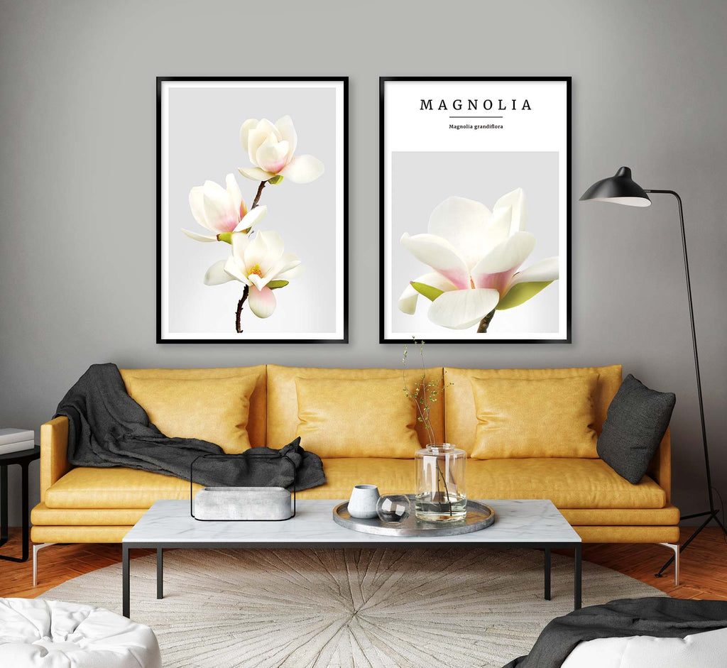 magnolia no3