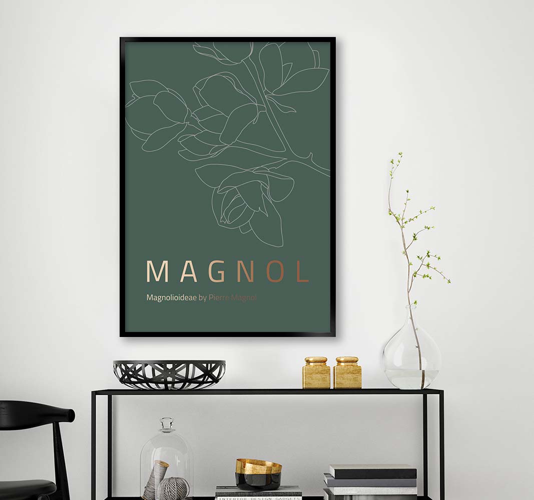 magnol