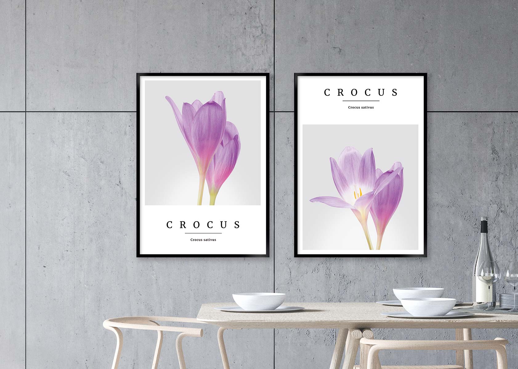crocus no3