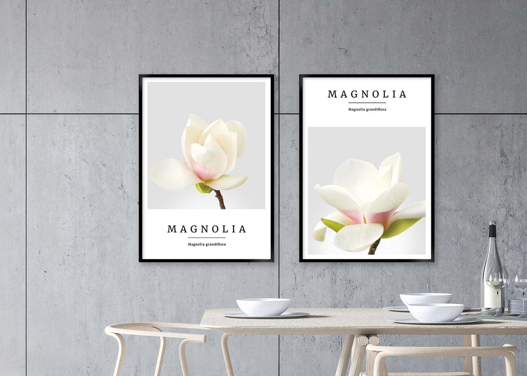 magnolia no3