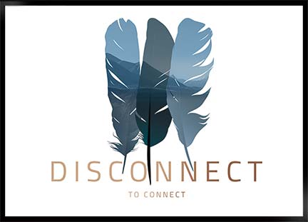 disconnect