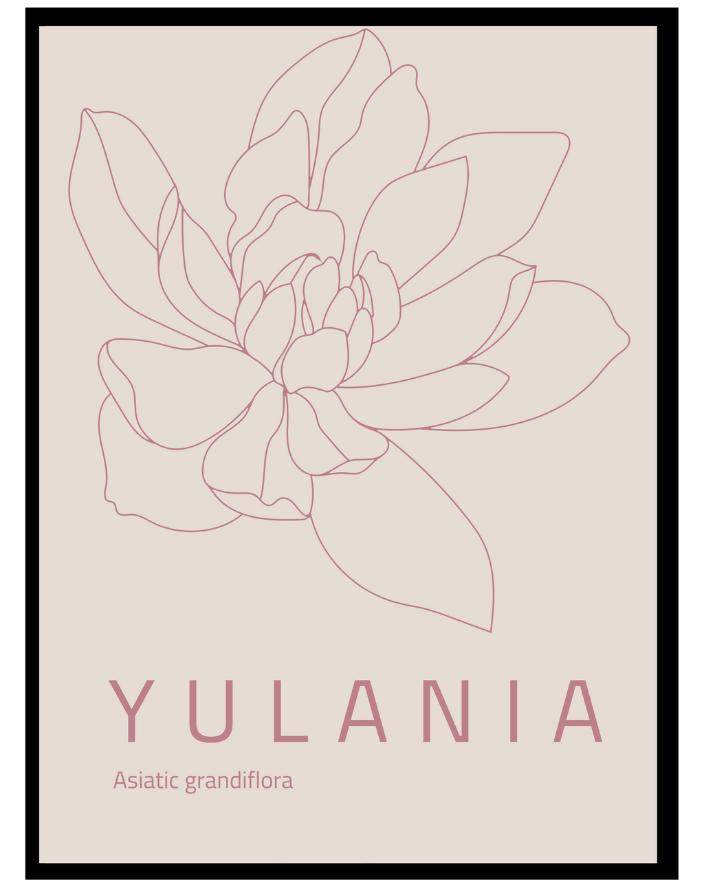 yulania