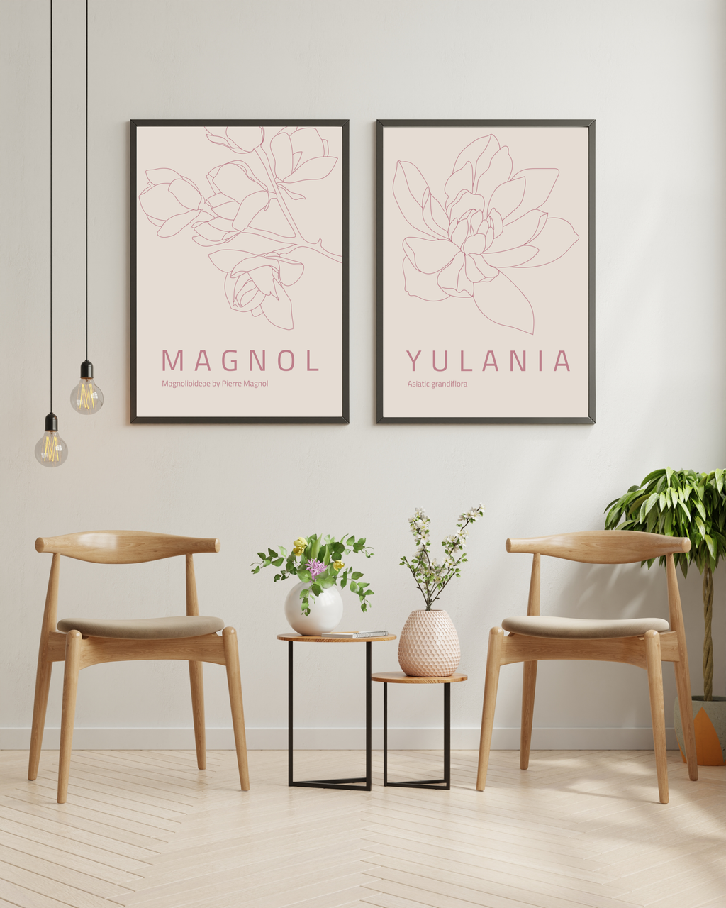 yulania