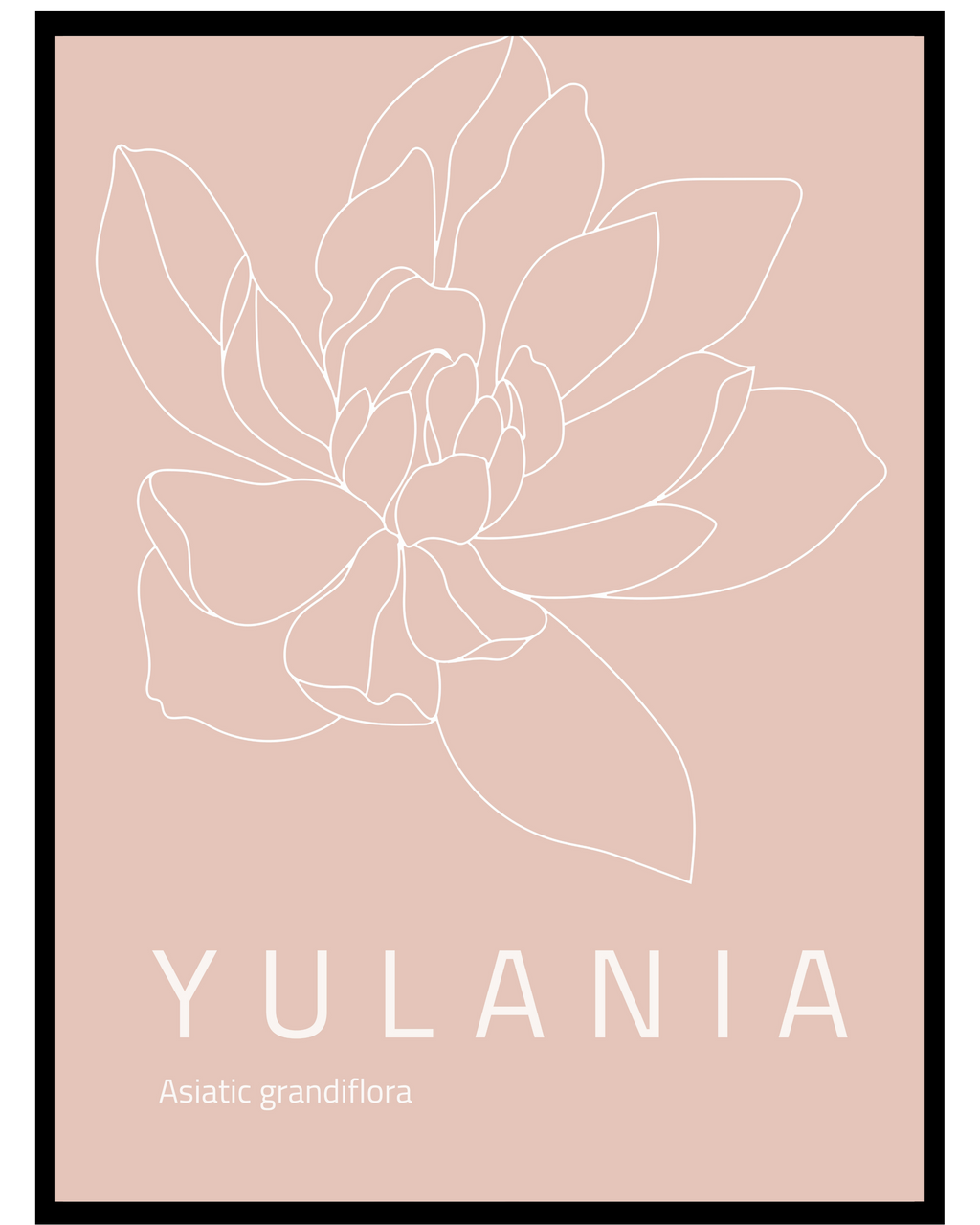 yulania