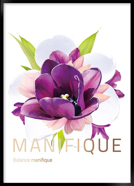 manifique