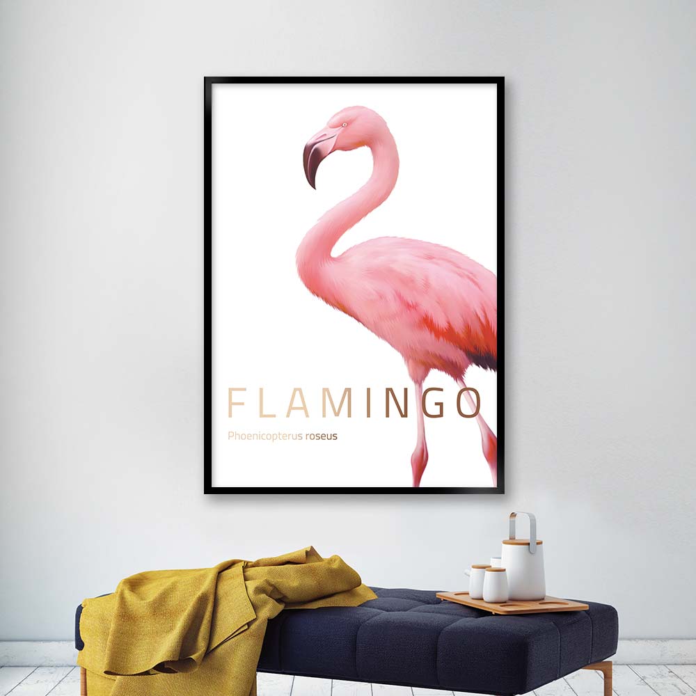 flamingo