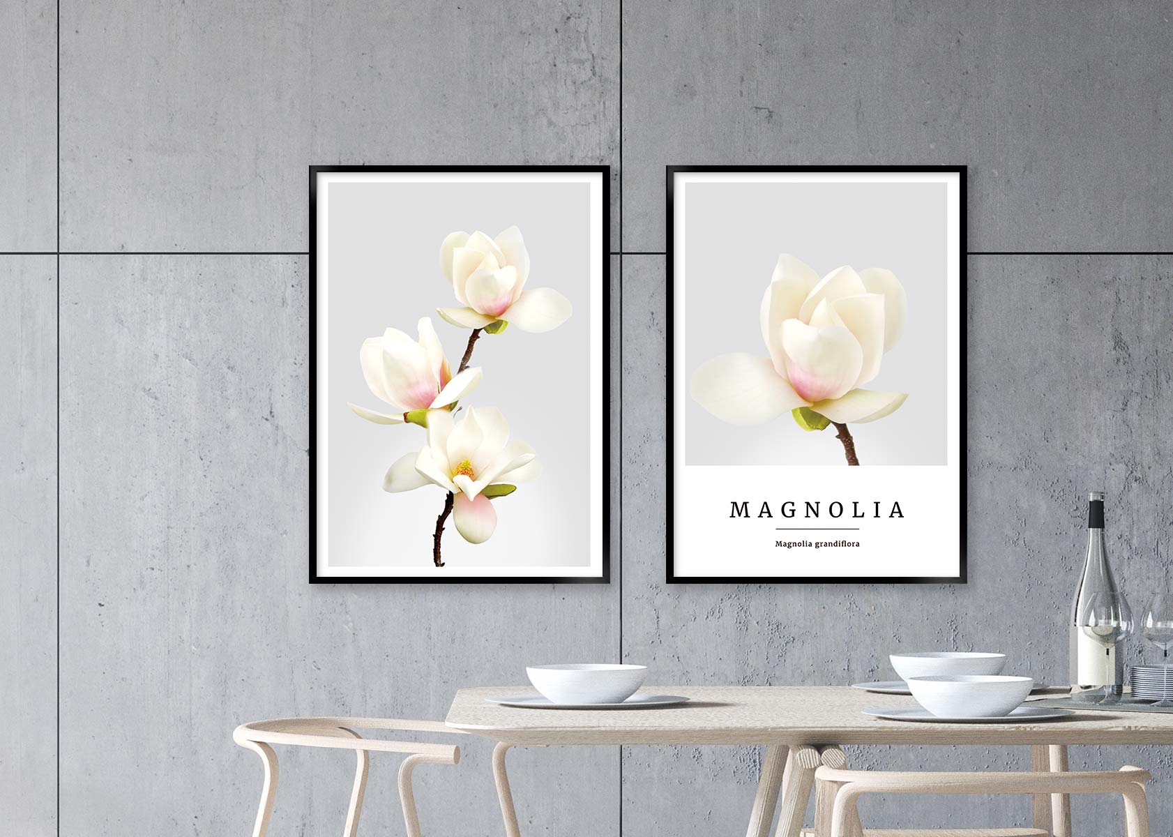 magnolia no1