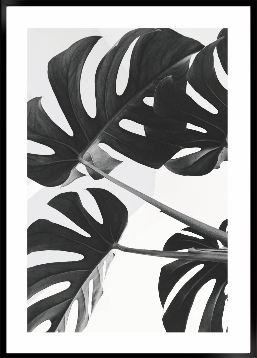 Black leaf