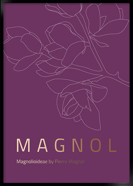 magnol