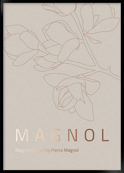 magnol