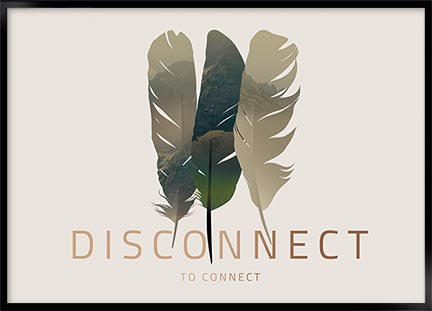 disconnect
