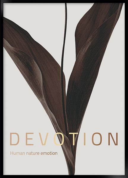 devotion