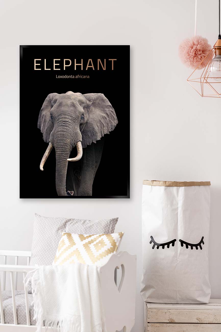 elefant