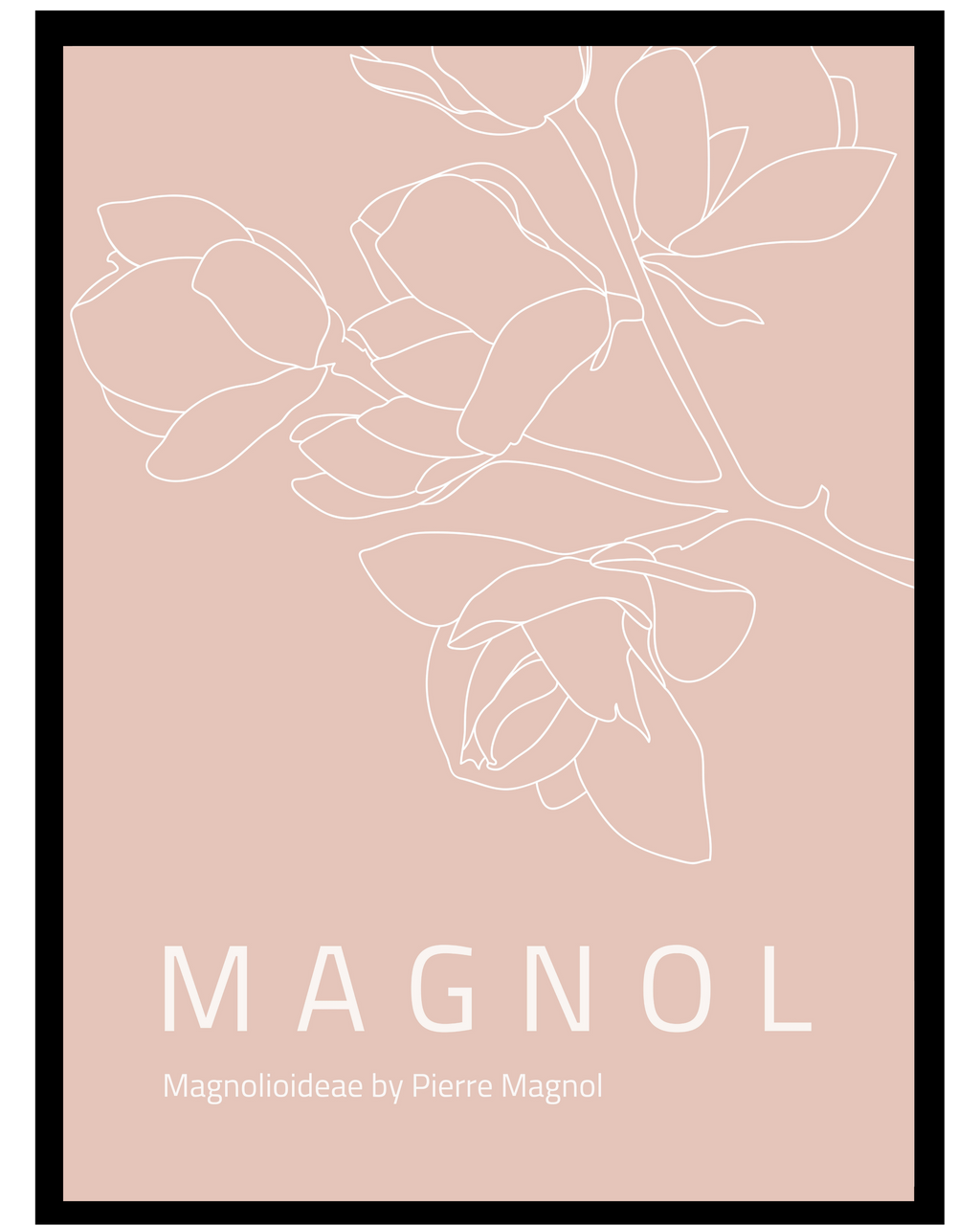Flower_Magnolia2