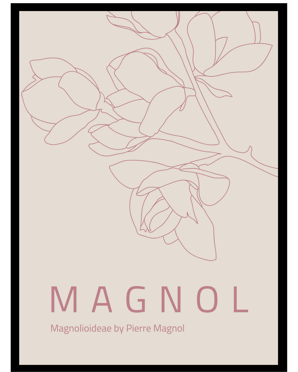 Flower_Magnolia6
