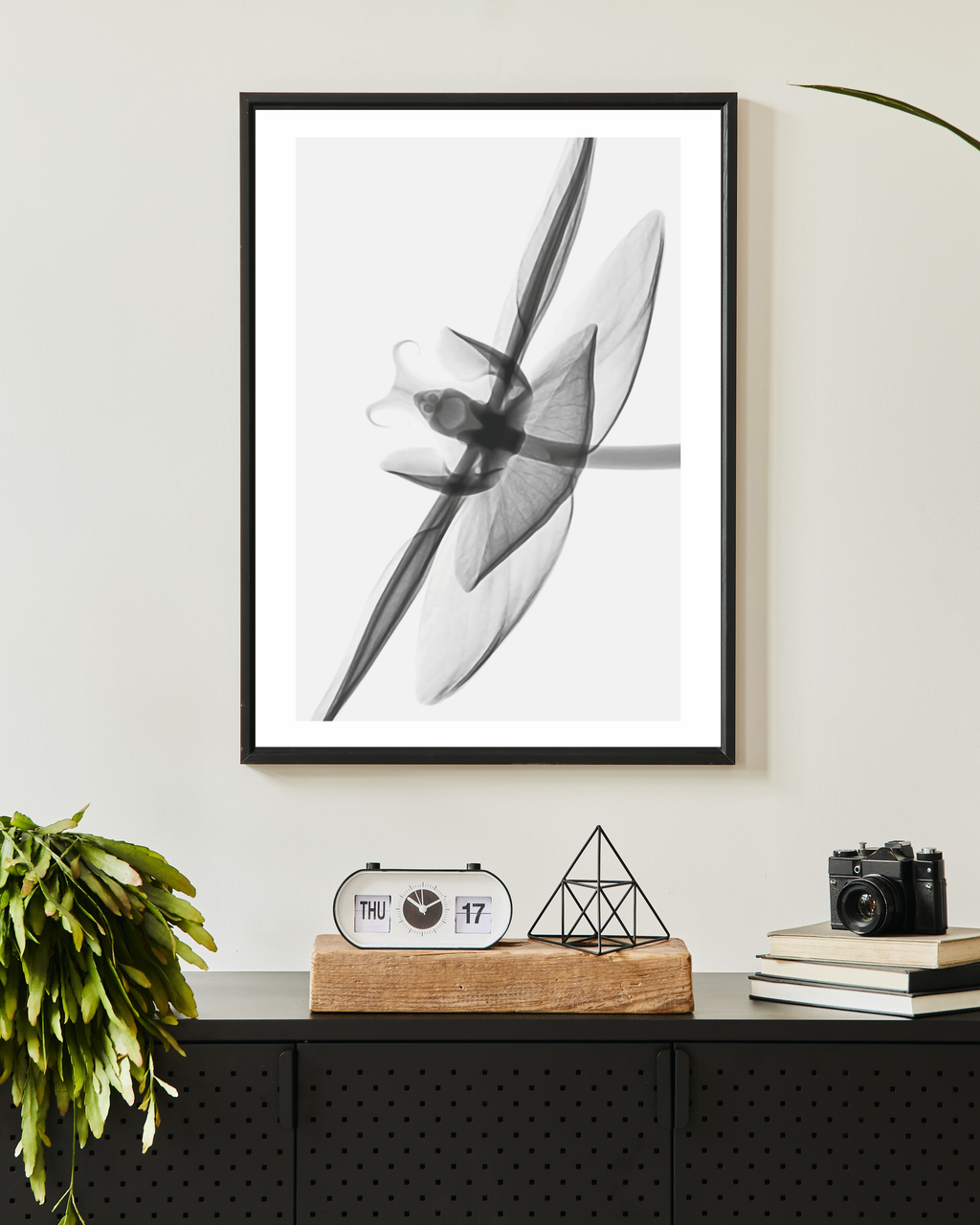 Flower transparent no. 3