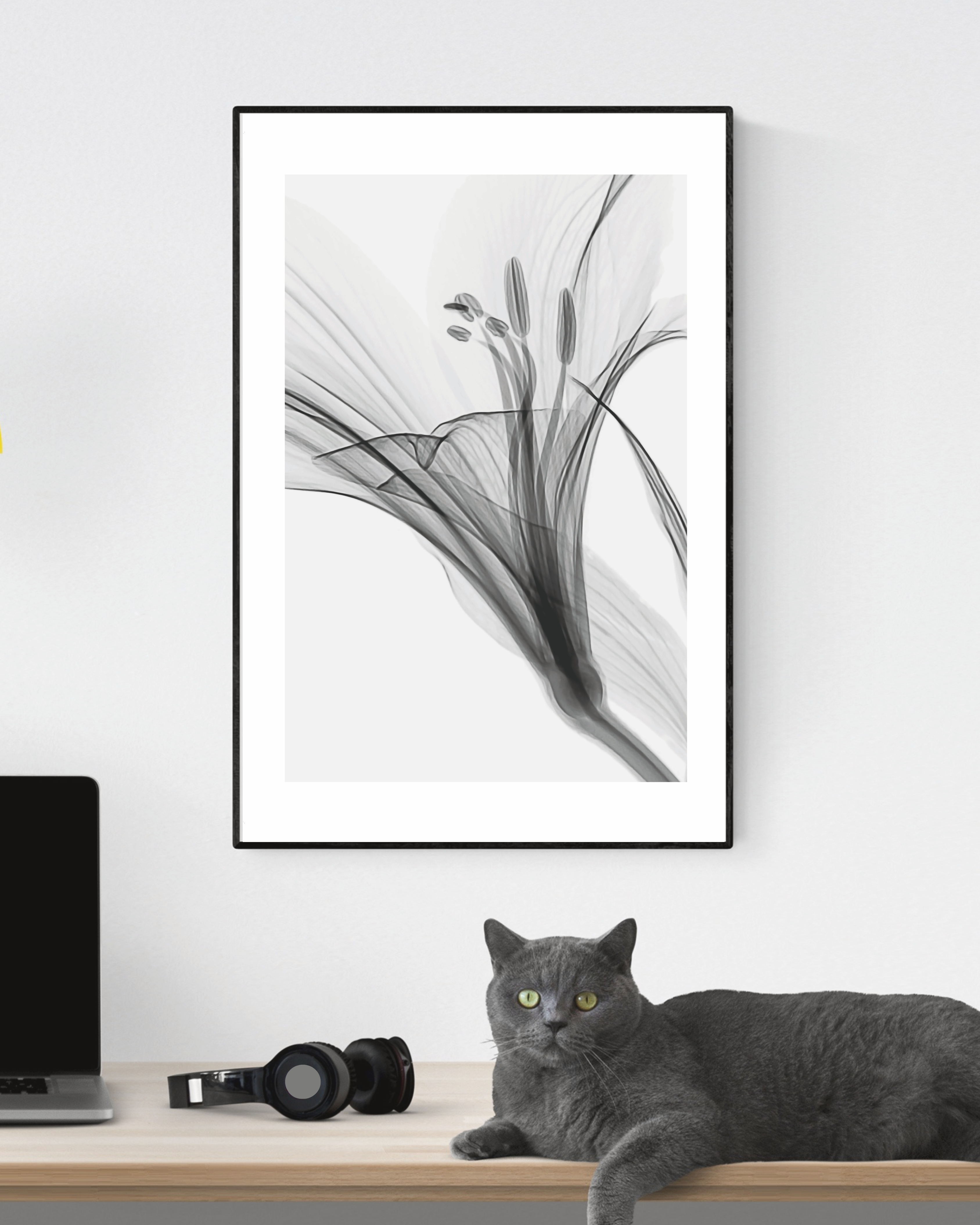 Flower transparent no. 1