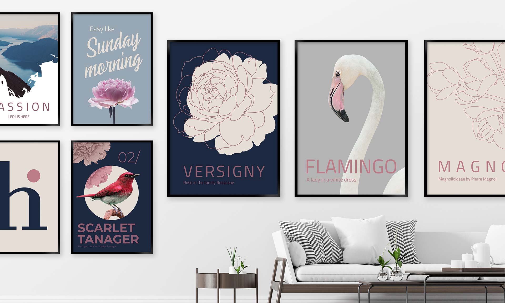 Flamingo2