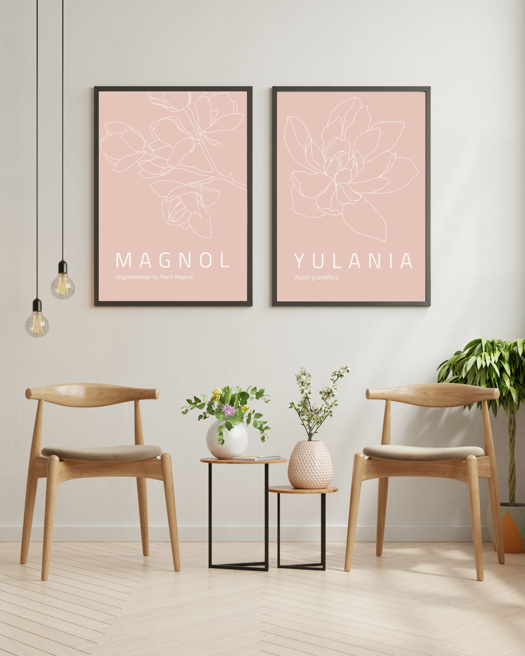 yulania