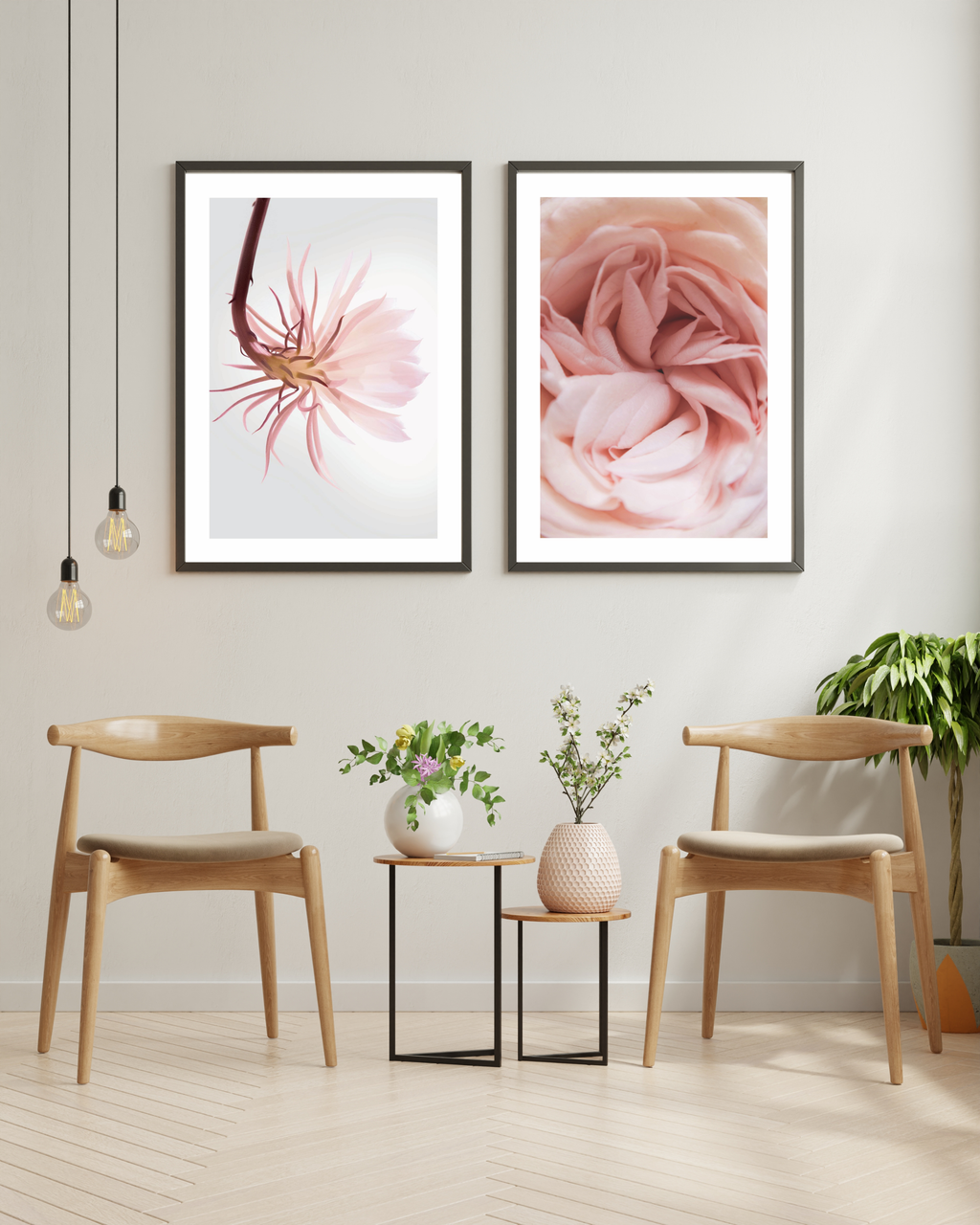 Special Sandrose No.1