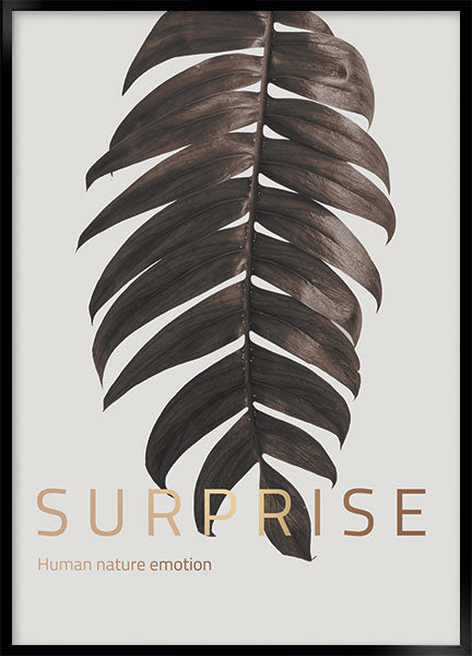 surprise